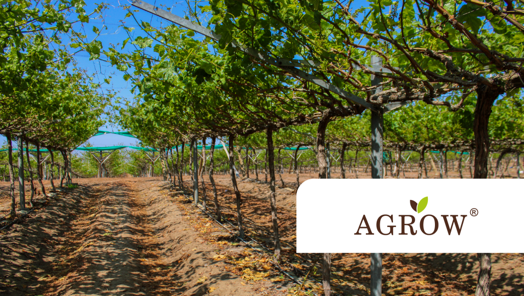 sistema-open-gable-agrow-tupemesa